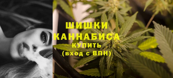 ПСИЛОЦИБИНОВЫЕ ГРИБЫ Дмитриев