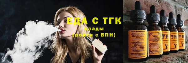 меф Ельня