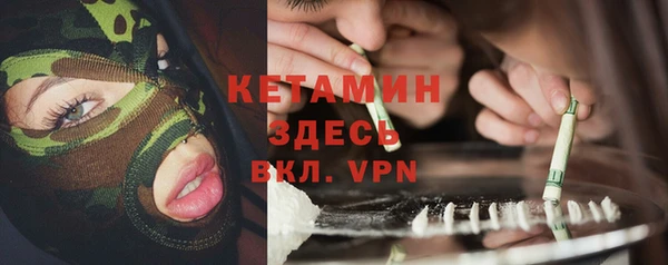 ПСИЛОЦИБИНОВЫЕ ГРИБЫ Дмитриев