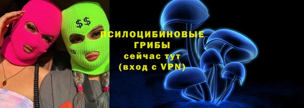 ПСИЛОЦИБИНОВЫЕ ГРИБЫ Дмитриев