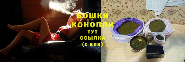 ПСИЛОЦИБИНОВЫЕ ГРИБЫ Дмитриев
