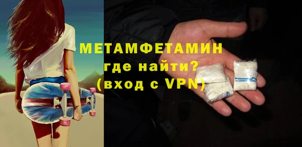 ПСИЛОЦИБИНОВЫЕ ГРИБЫ Дмитриев