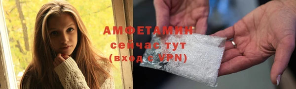 ПСИЛОЦИБИНОВЫЕ ГРИБЫ Дмитриев