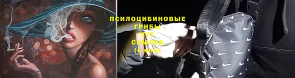 меф Ельня