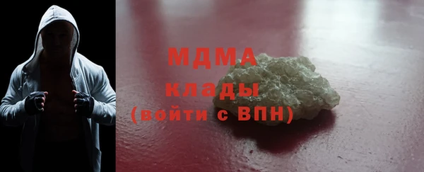 ПСИЛОЦИБИНОВЫЕ ГРИБЫ Дмитриев