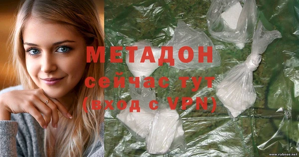 ПСИЛОЦИБИНОВЫЕ ГРИБЫ Дмитриев
