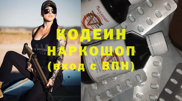 ПСИЛОЦИБИНОВЫЕ ГРИБЫ Дмитриев