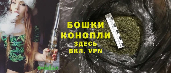 ПСИЛОЦИБИНОВЫЕ ГРИБЫ Дмитриев