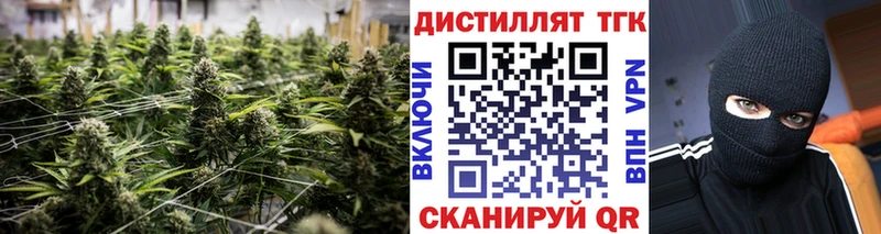 Купить закладки  Кировск  Дистиллят ТГК жижа 