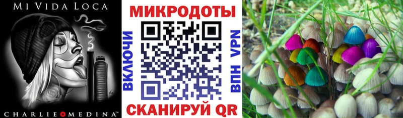 Галлюциногенные грибы мицелий  Купить где  Кировск 